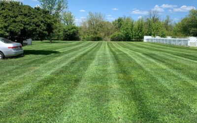 Spring Lawn Mowing Tips: How to Keep Your Lawn Looking Its Best
